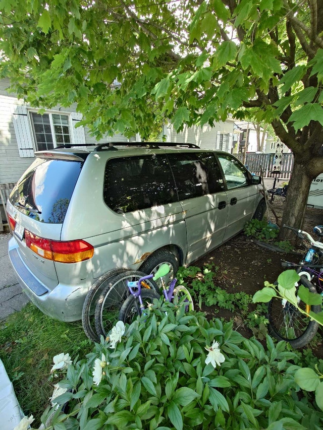 02 Odyssey van — photo 2
