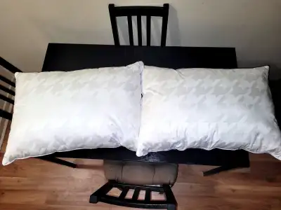 Z Zoned Oreiller De Qualiter (100$), View more