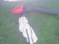 Black & Decker leaf vac