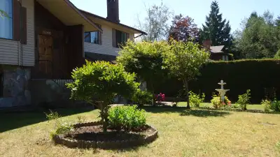 Spacious fully furnished room for rent, bright and sunny, joint kitchen(no strong spices, light cook...