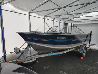 Bateau en aluminium BlueFine 1988 bon état Moteur Honda 50 CV 4 temps 2005 Remorque galvanisée remis...