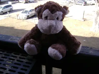 unemployed primate seeking new horizons, View more