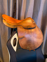 16" Beval Ltd. Saddle, Devon 2000, Close Contact