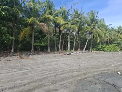 Property for Sale – Boca Brava Island, Panama The owner is willing to finance the purchase. The purc...