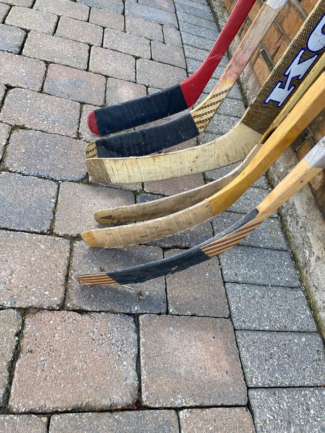 Hockey Sticks (2 Goalie & 4 Regular) - Street Hockey in Hockey in Mississauga / Peel Region - Image 2