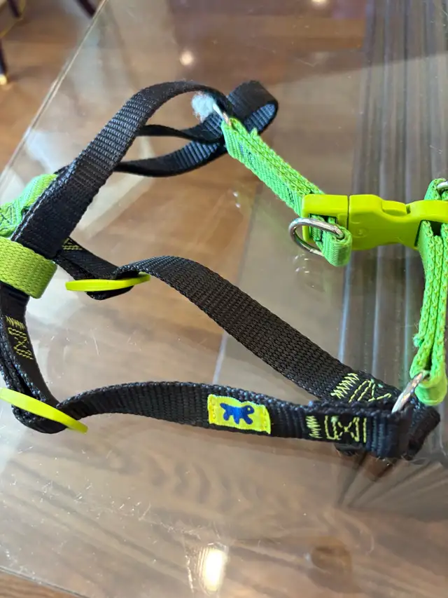 Wolfgang Puck Dog Harness in Accessories in City of Toronto - Image 3