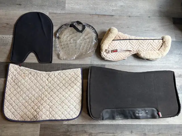 Tack Clearout! | Equestrian & Livestock Accessories | North Bay | Free ...
