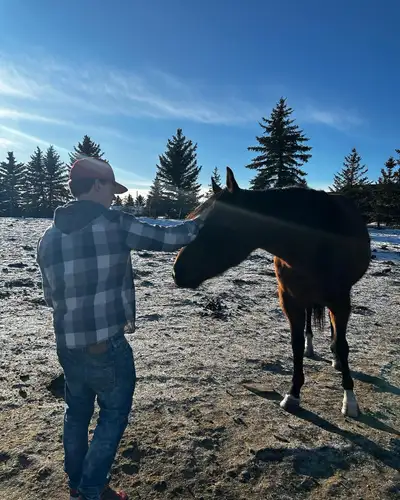 looking for cheap project horse , View more