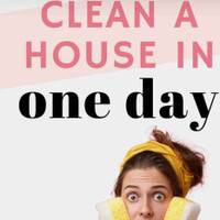 Professional House Cleaning, Window Cleaning, and Power Washing