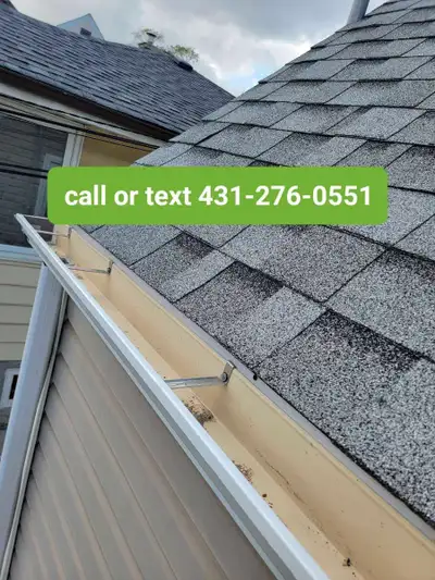 Eavestrough cleaning, Tree Trimming, Roofing 431-276-0551, View more