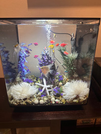 60L 16 gallon Biorb Clear Cube Aquarium Fish Tank