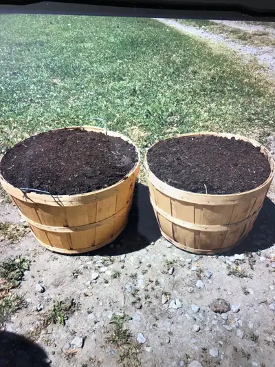 Manure for sale, View more