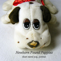 Vintage Irwin Toys 1986 1 ed Newborn Pound Puppies P-P bone logo