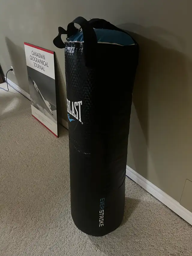 Everlast medium sized punching bag in Exercise Equipment in Stratford - Image 3