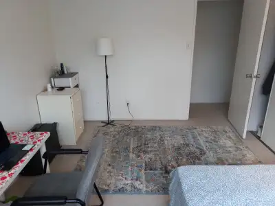 Furnished Room for Rent – May 1 to May 31 A fully furnished room is available for one month only in...
