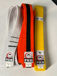 Three martial arts / aikido / karate belts