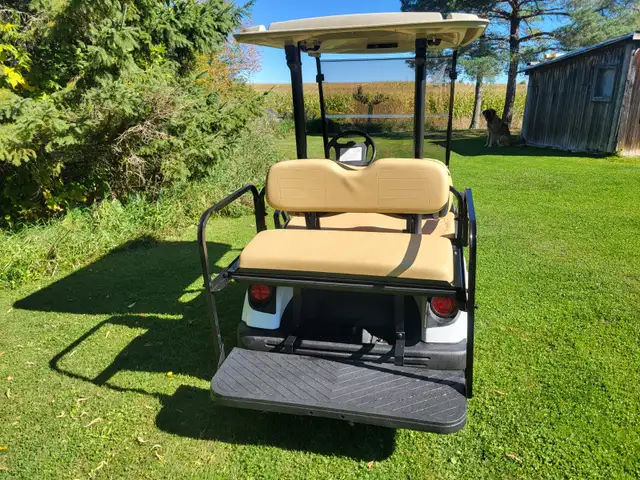 Yamaha golf cart in Golf in Ottawa - Image 7