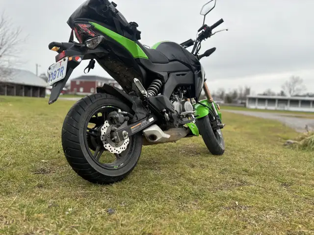 z125pro! in Street, Cruisers & Choppers in Ottawa - Image 6
