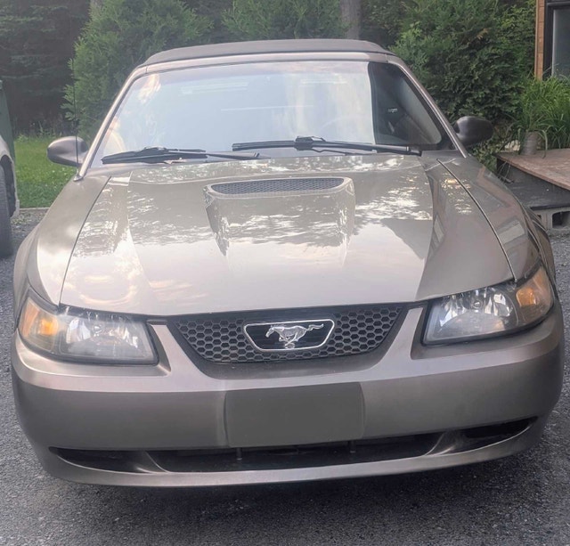 Ford Mustang 2002 décapotable — photo 2