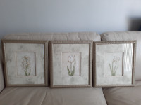 picture frames with white flower and sage green (made in Canada)