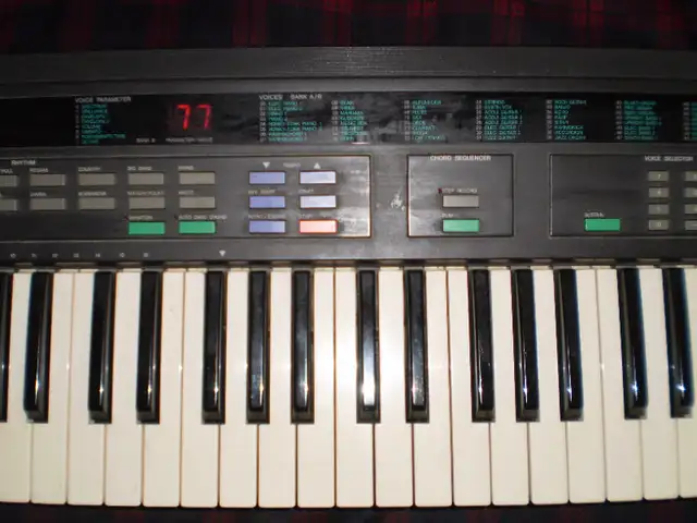 Piano Keyboards, Bench, Sustain Pedal in Pianos & Keyboards in City of Toronto - Image 3