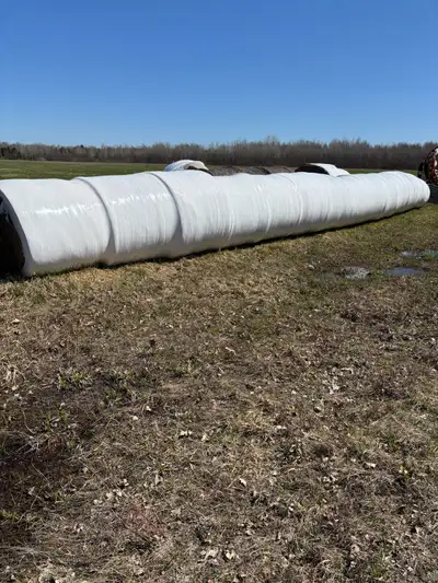 12 bales of silage young grass and alfafa ...50$