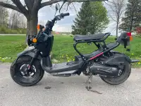 Scooter, Honda ruckus 2020