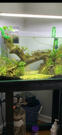 Rimless sapphire glass aquarium +