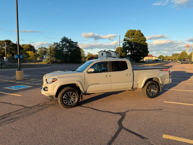 Tacoma 2020 in Cars & Trucks in Moncton