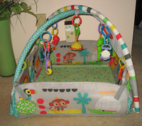 Tammy Time Play mat / Rocking Chairs / Floor Chair / Gym Toy