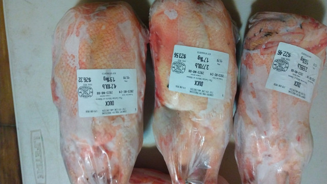 Pasture Raised Whole Duck in Livestock in Barrie - Image 2