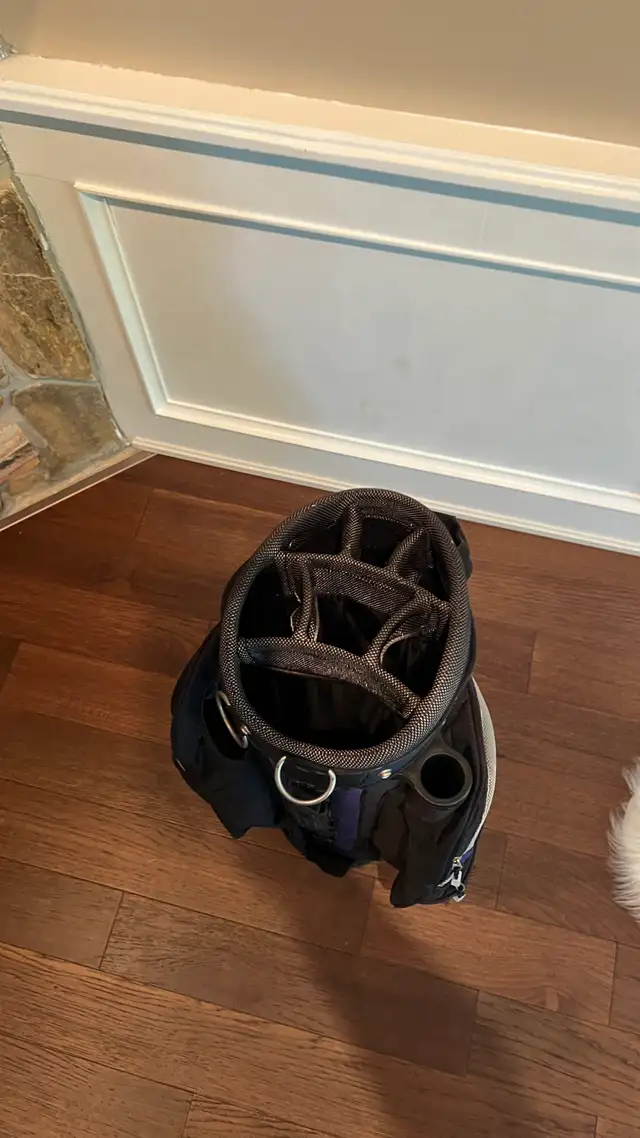 RAM Golf Cart Bag in Golf in Oakville / Halton Region - Image 4