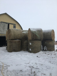 ALL TYPES OF COW & HORSE HAY 4 SALE