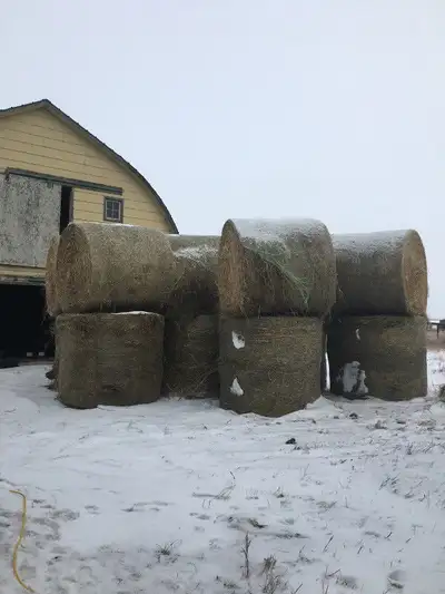ALL TYPES OF COW & HORSE HAY 4 SALE, View more