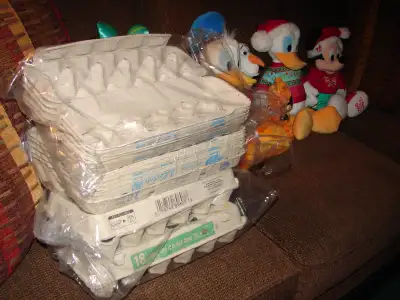 FREE EGG CARTONS, View more