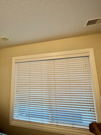 Blinds (white 2 inch faux wood)