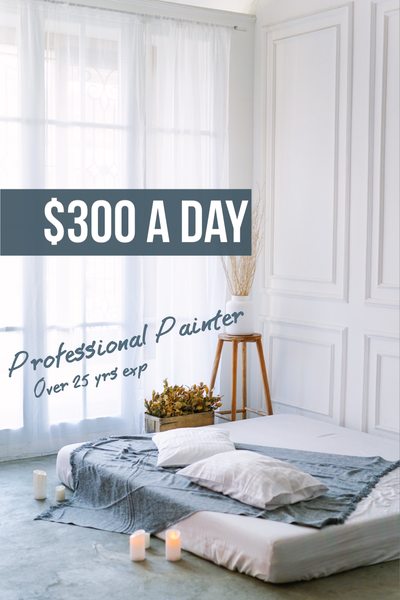 Pro painter available at $300/day.  Winter rate is ending soon., View more