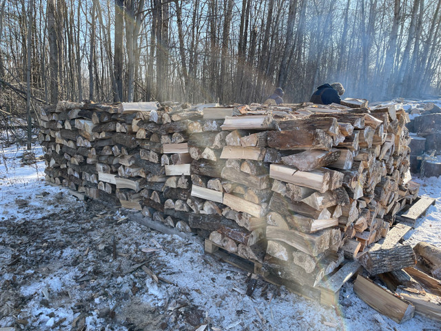 Firewood For Sale in Other in Kingston