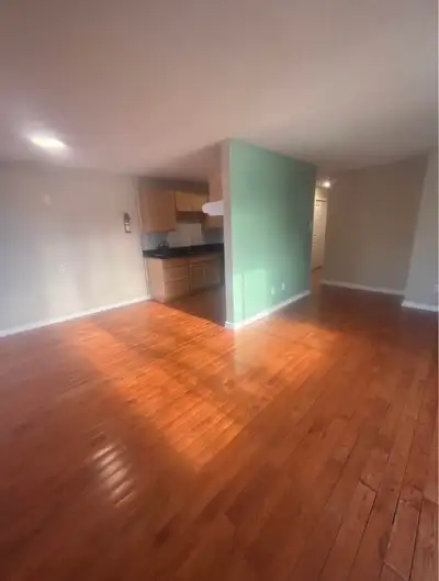 LEASE TAKE OVER - for May 1st or 15th or 10th (flexible for earlier or later) 1 Bedroom Apartment 1...