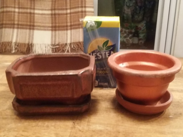 Small Flower Pots and Planters for Succulents in Other in City of Toronto - Image 2