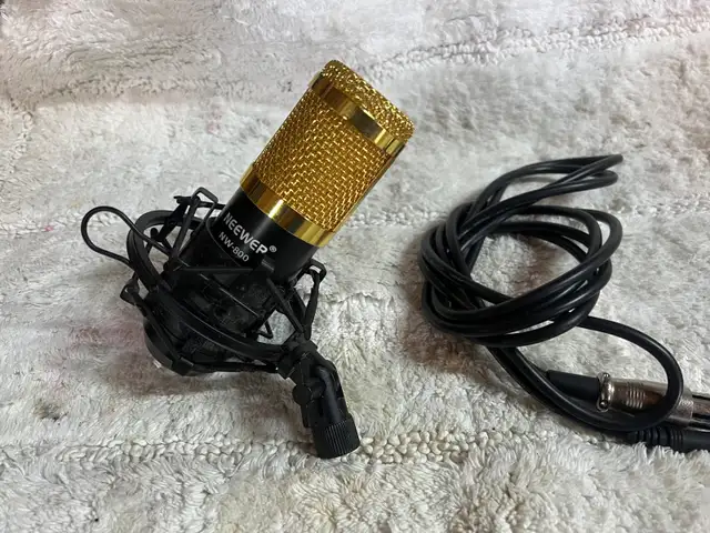 neewer condenser microphone in Pro Audio & Recording Equipment in Saskatoon - Image 3