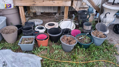 I have a Lot of Plant Pots for Sale still I live in fernie at fernie mobile home park and please con...