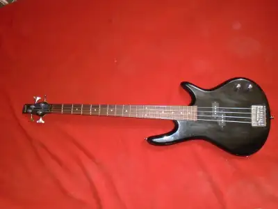 Ibanez Gio Soundgear 4 string bass. 34 inch scale. Used only in home studio projects.Custom intonate...