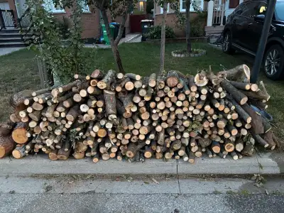 Free wood in mississauga, View more