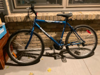 24” Supercycle bicycle for sale