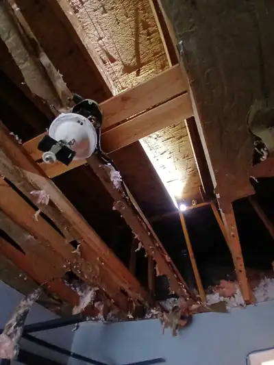 Trim and Floors, View more