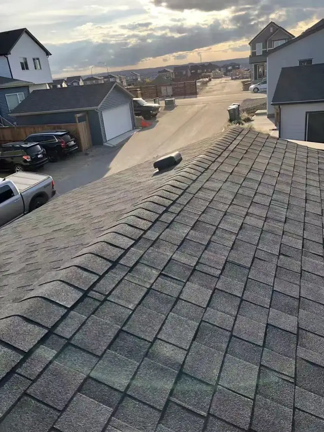 Roofing Contractor Roofing Experts592355196205148166
