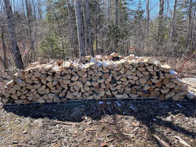 Firewood in Other in Ottawa - Image 2