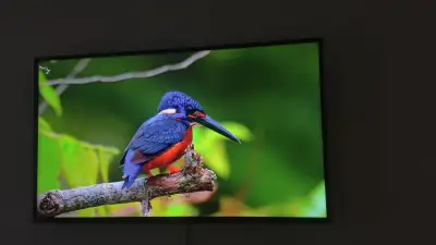 LG Tv 50 Po - UHD utilisé dans la chambre donc rare, View more