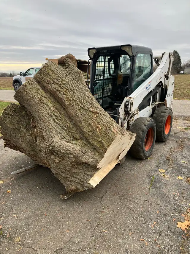 Tree service64959954900225124